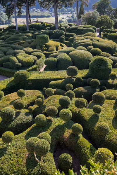 Dordogne Frankrijk September 2018 Topiary Tuinen Van Jardins Marqueyssac Dordogne — Stockfoto