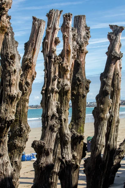 Big Breakwater 3000 Trunks Defend City Tides Plage Ventail Beach — Stock Photo, Image