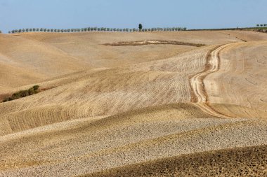 Pienza, İtalya - 13 Eylül 2011: Tuscany 'deki Pienza yakınlarındaki kırsal alan. İtalya