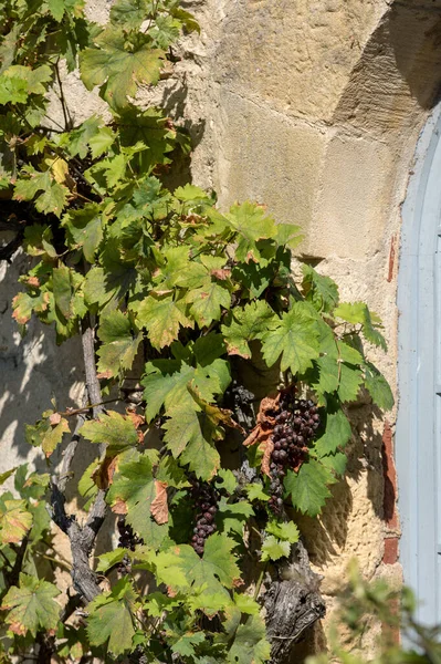 Typisch Französisches Stadtbild Mit Alten Häusern Périgord Noir Frankreich — Stockfoto