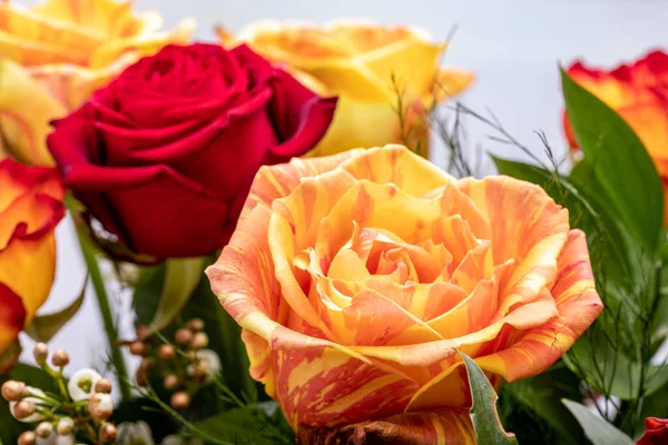 Krásná Kytice Barevných Růží — Stock fotografie