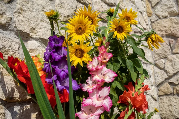 Квітучі Соняшники Барвисті Гладіолуси Тлі Вапнякової Стіни Стокове Фото