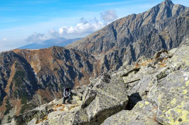 Vysoke Tatry 'deki Büyük Soğuk Vadi (High Tatras), Slovakya. Büyük Soğuk Vadi 7 km uzunluğundadır ve turistler için çok çekicidir.
