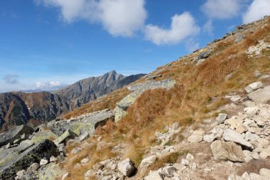 Vysoke Tatry 'deki Büyük Soğuk Vadi (High Tatras), Slovakya. Büyük Soğuk Vadi 7 km uzunluğundadır ve turistler için çok çekicidir.