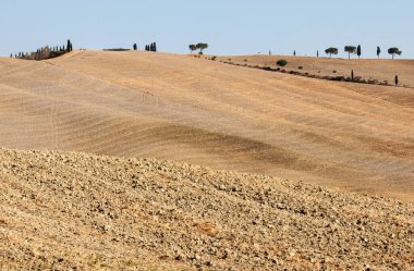 Pienza, İtalya - 13 Eylül 2011: Tuscany 'deki Pienza yakınlarındaki kırsal alan. İtalya