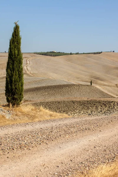 Pienza Italien September 2011 Landsbygdslandskapet Nära Pienza Toscana Italien — Stockfoto