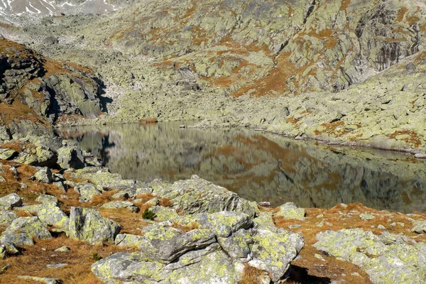 Jezero Horách Rybník Údolí Pěti Spišských Jezer Obklopený Skalnatými Vrcholy — Stock fotografie