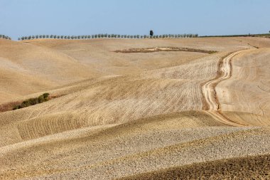 Pienza, İtalya - 13 Eylül 2011: Tuscany 'deki Pienza yakınlarındaki kırsal alan. İtalya