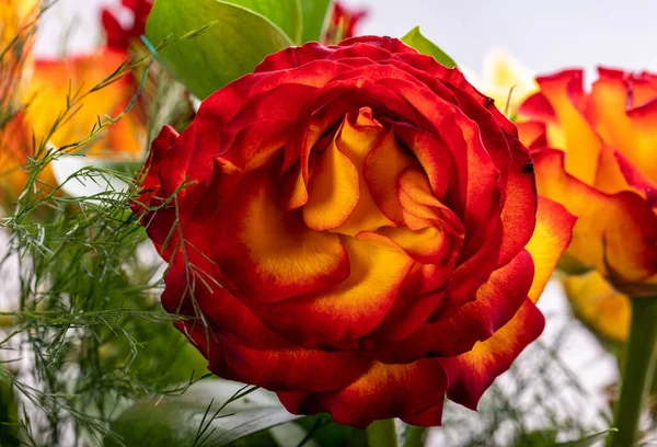 五彩缤纷的玫瑰花束 — 图库照片