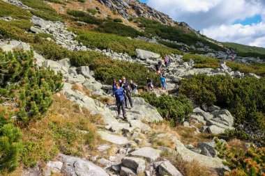 Vysoke Tatry, Slovakya - 9 Ekim 2018: Great Cold Valley, Vysoke Tatry (High Tatras), Slovakya 'da yürüyüş yapanlar. Büyük Soğuk Vadi 7 km uzunluğundadır ve turistler için çok çekicidir.