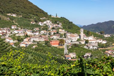 Valdobbiadene ve Conegliano arasında Prosecco şaraplı üzüm bağları bulunan Picturesque tepeleri; İtalya.