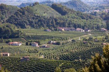 Resimli tepeler, Santo Stefano 'daki Prosecco köpüklü şarap bölgesinin üzüm bağları. İtalya.