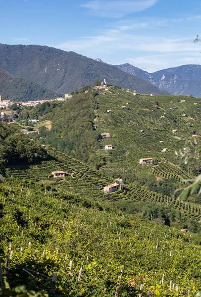 Malownicze Wzgórza Winnicami Regionu Wina Musującego Prosecco Guietta Guia Włochy — Zdjęcie stockowe