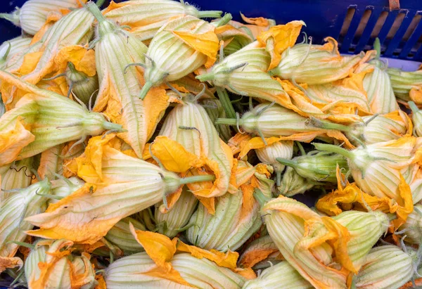 Verse Courgettebloemen Een Boerenmarkt Italië — Stockfoto