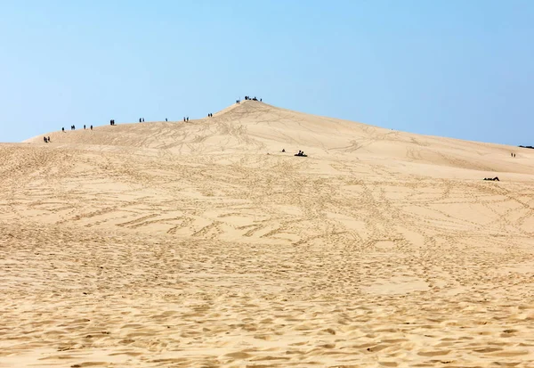 普拉提沙丘 欧洲最高的沙丘 法国阿基坦Arcachon湾La Teste Buch — 图库照片