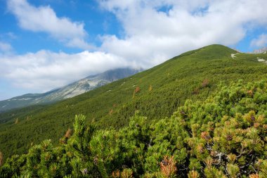 Slovakya 'nın High Tatras kentindeki Büyük Soğuk Vadi. Büyük Soğuk Vadi 7 km uzunluğundadır ve turistler için çok çekicidir.