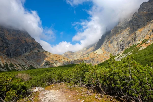 Slovakya 'nın High Tatras kentindeki Büyük Soğuk Vadi. Büyük Soğuk Vadi 7 km uzunluğundadır ve turistler için çok çekicidir.