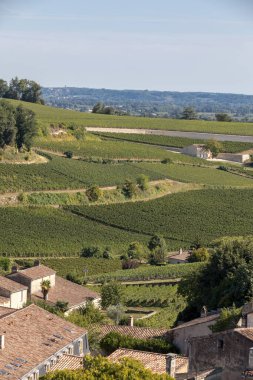 Bordeaux, Fransa yakınlarındaki Saint Emilion kasabasındaki ünlü Fransız üzüm bağları. St Emilion, Bordeaux 'nun başlıca kırmızı şarap bölgelerinden biridir ve çok popüler bir turizm merkezidir..
