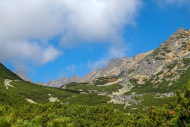 Slovakya 'nın High Tatras kentindeki Büyük Soğuk Vadi. Büyük Soğuk Vadi 7 km uzunluğundadır ve turistler için çok çekicidir.