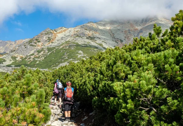 Vysoke Tatry, Slovakya - 10 Ekim 2018: Great Cold Valley, Vysoke Tatry (High Tatras), Slovakya 'da yürüyüş yapanlar. Büyük Soğuk Vadi 7 km uzunluğundadır ve turistler için çok çekicidir.