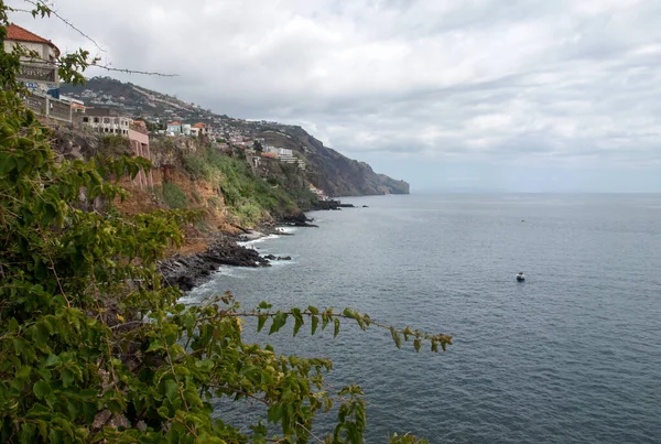 Cliffs Island Madeira Area Funchal — Stock Photo, Image