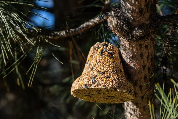 Campana Varios Granos Manjar Para Todas Las Aves Del Jardín — Foto de Stock