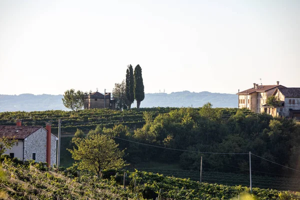Schilderachtige Heuvels Met Wijngaarden Van Prosecco Mousserende Wijnstreek Valdobbiadene Italië — Stockfoto