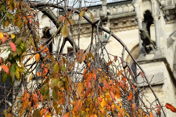 Paris Romantik Güzel Sonbahar Manzarası — Stok fotoğraf