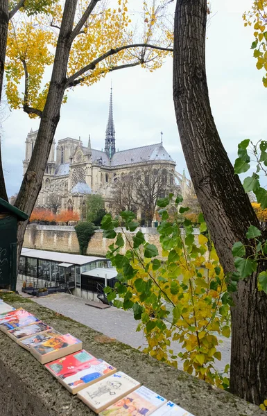 Parigi Francia Novembre 2017 Romantico Bellissimo Scenario Autunnale Parigi — Foto Stock