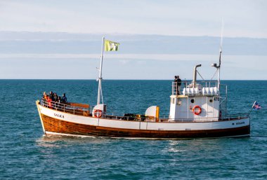 Husavik, İzlanda - 24 Temmuz 2017: Kambur Balina 'yı avlamak için Husavik' ten kalkan yolcularla birlikte tekneyi izleyen balina. İzlanda