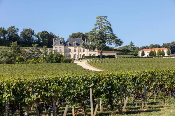 Saint Emilion France September 2018 Vineyard Chateau Fonplegade Name Literally — Stock Photo, Image