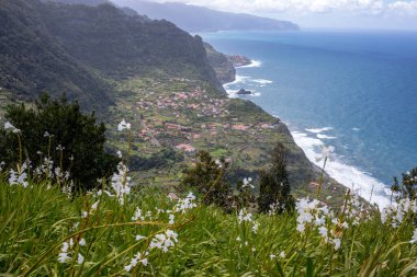 Fransa 'nın Bordeaux bölgesinin Margaux adlarındaki şarap hasadı yapılmadan önce şarap mahzeninde olgunlaşmış kırmızı üzümler..