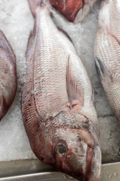 Peixes Frescos Para Venda Num Mercado Peixe — Fotografia de Stock
