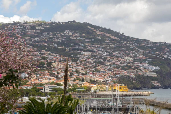 Madeira Adasındaki Funchal Dik Yamaçlarında Tipik Teras Mimarisi Portekiz — Stok fotoğraf