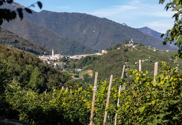 Pittoreske Heuvels Met Wijngaarden Van Prosecco Mousserende Wijnstreek Guietta Guia — Stockfoto