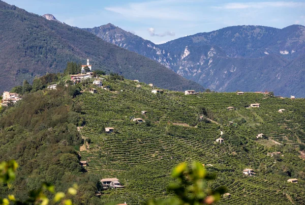 Colline Pittoresche Con Vigneti Della Regione Spumante Del Prosecco Guietta — Foto Stock