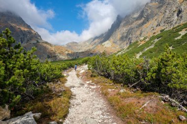 Vysoke Tatry, Slovakya - 10 Ekim 2018: Great Cold Valley, Vysoke Tatry (High Tatras), Slovakya 'da yürüyüş yapanlar. Büyük Soğuk Vadi 7 km uzunluğundadır ve turistler için çok çekicidir.