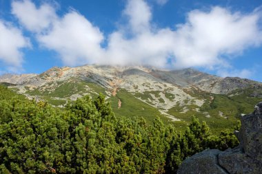 Slovakya 'nın High Tatras kentindeki Büyük Soğuk Vadi. Büyük Soğuk Vadi 7 km uzunluğundadır ve turistler için çok çekicidir.
