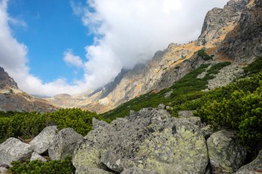 Slovakya 'nın High Tatras kentindeki Büyük Soğuk Vadi. Büyük Soğuk Vadi 7 km uzunluğundadır ve turistler için çok çekicidir.