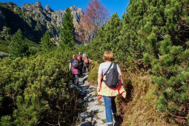 Vysoke Tatry, Slovakya - 10 Ekim 2018: Great Cold Valley, Vysoke Tatry (High Tatras), Slovakya 'da yürüyüş yapanlar. Büyük Soğuk Vadi 7 km uzunluğundadır ve turistler için çok çekicidir.