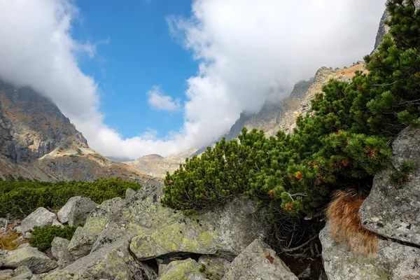 Great Cold Valley Hoge Tatra Slowakije Great Cold Valley Lang — Stockfoto