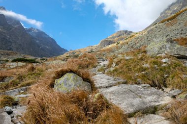 Slovakya 'nın High Tatras kentindeki Büyük Soğuk Vadi. Büyük Soğuk Vadi 7 km uzunluğundadır ve turistler için çok çekicidir.