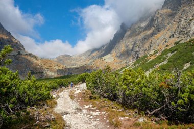 Slovakya 'nın High Tatras kentindeki Büyük Soğuk Vadi. Büyük Soğuk Vadi 7 km uzunluğundadır ve turistler için çok çekicidir.