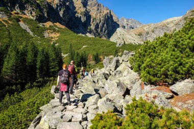 Vysoke Tatry, Slovakya - Ekim 2018: Great Cold Valley, Vysoke Tatry (High Tatras), Slovakya 'da yürüyüş yapanlar. Büyük Soğuk Vadi 7 km uzunluğundadır ve turistler için çok çekicidir.
