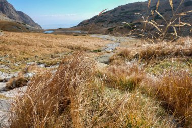 Beş Spis Gölleri Vadisi 'ndeki gölet kayalık zirvelerle çevrili, Yüksek Tatra Dağları. Slovakya