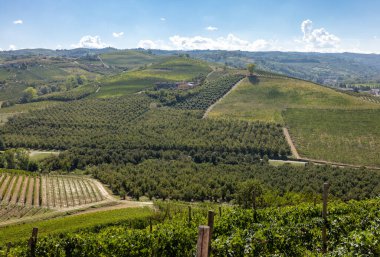 Grinzane Cavour 'dan Langhe üzüm bağlarının manzarası. UNESCO Sitesi, Piedmont, İtalya