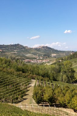 Barolo ve La Morra yakınlarındaki Langhe üzüm bağları, Unesco Sitesi, Piedmont, İtalya