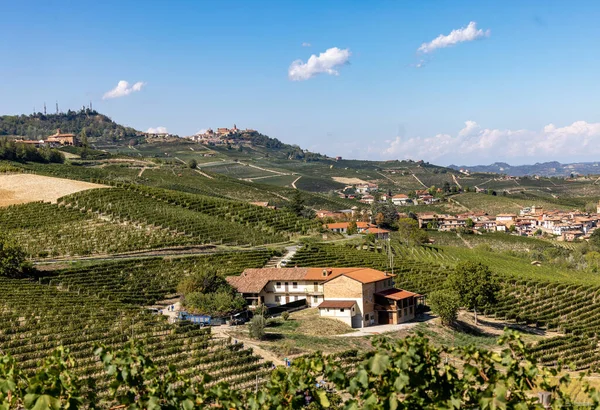 Barolo ve La Morra yakınlarındaki Langhe üzüm bağları, Unesco Sitesi, Piedmont, İtalya