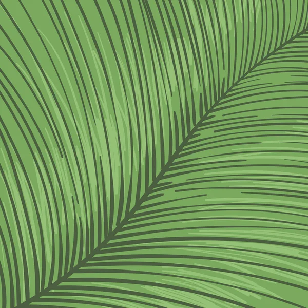 Tropische Blatt Gestreiften Hintergrund Handgezeichnete Linien Vektor — Stockvektor