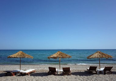 Palmiye ağacının altındaki şezlonglar Yunanistan 'ın Samos adasındaki plajda şemsiye bırakıyor